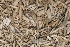 biomass boilers Moats Tye